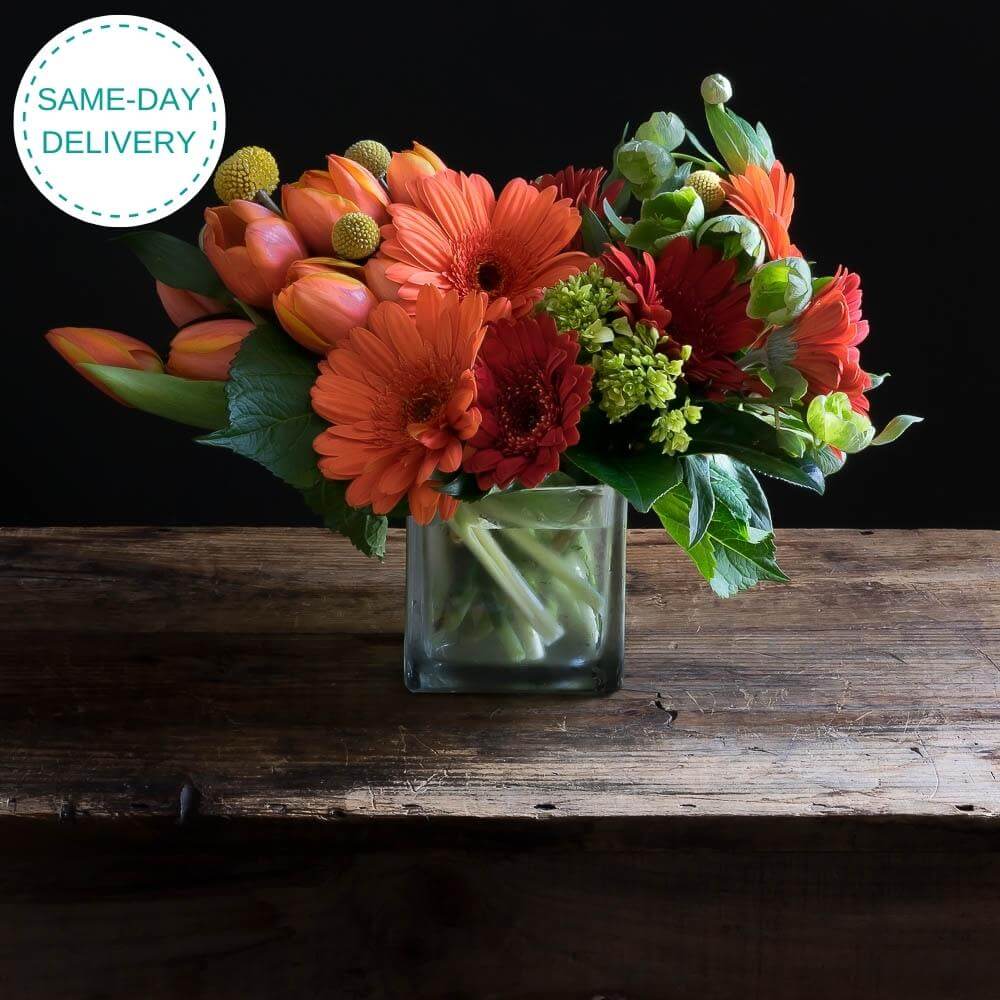 Floral arrangement with orange tulips, orange gerberas, red gerberas, and mini green hydrangeas.