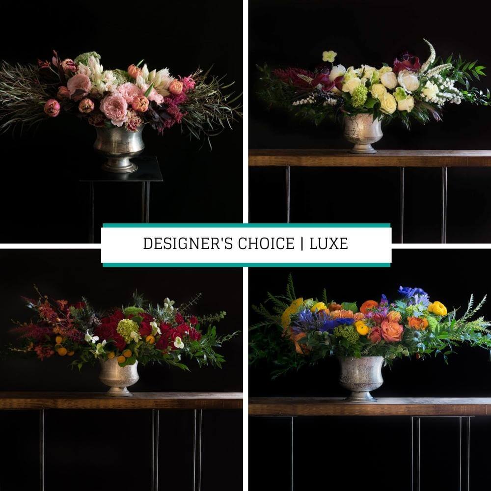 Designer's Choice | Luxe (most loved!)
