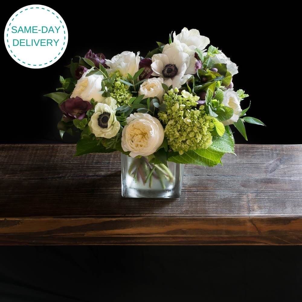 Holidays floral arrangement with white roses, white anemones, burgundy hellebores.