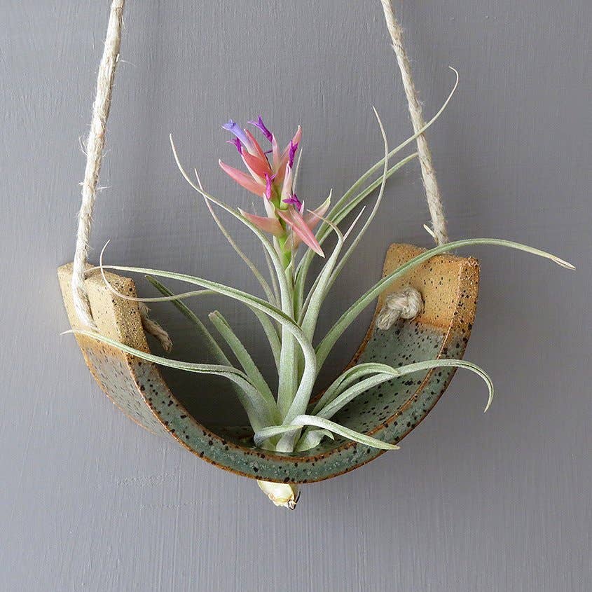 Small Hanging Air Plant Cradle | Gunmetal Green Planter Vase