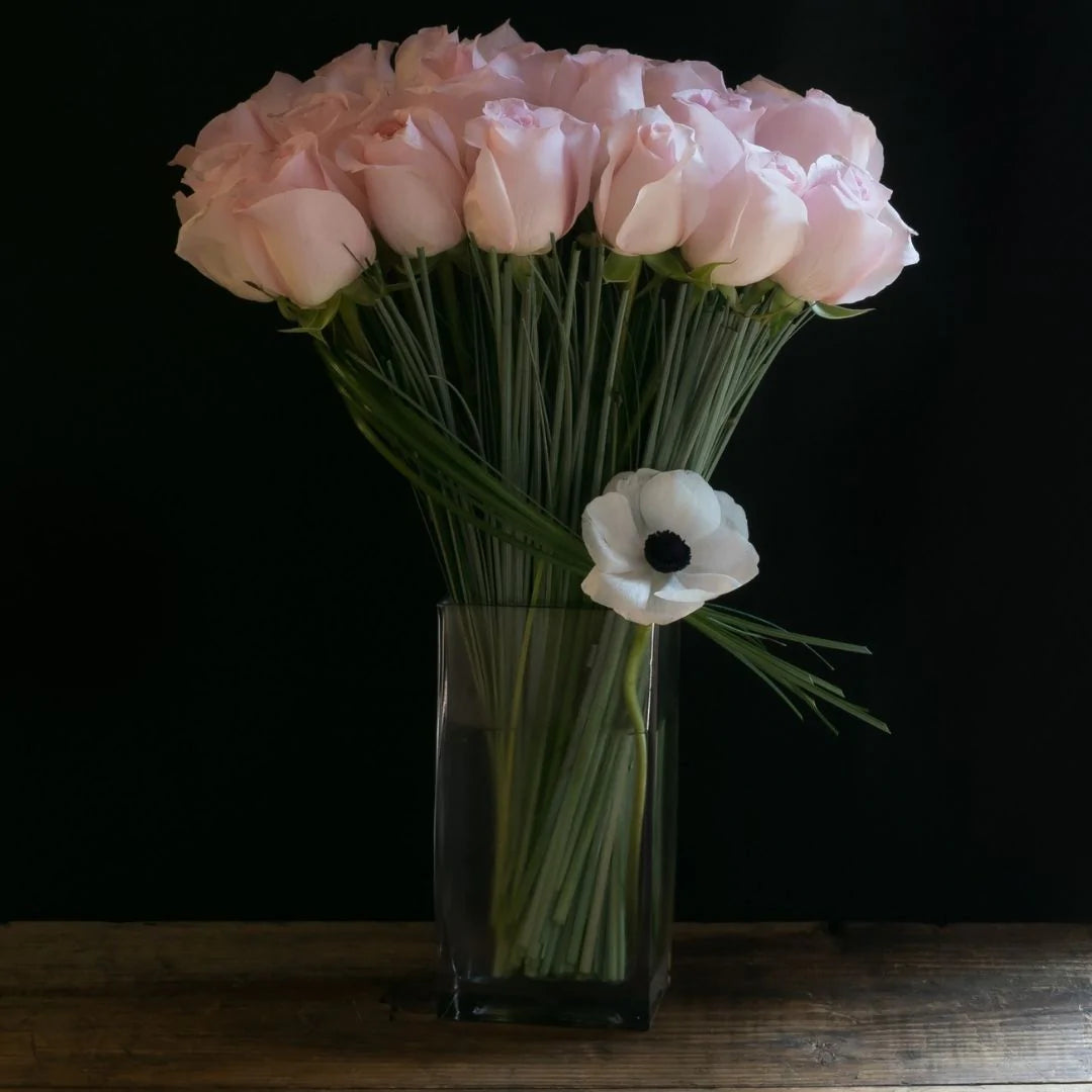 Olivia | Choose Your Color