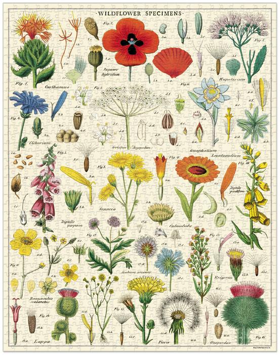 Puzzle | Wildflowers 1,000 Piece Puzzle